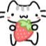 cat_zstrawberry Discord sticker from ‧₊˚✧ A Night Full of Stars ✧˚₊‧