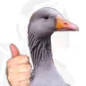 noice
