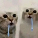 :emoji_37: