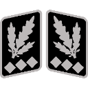 SSOberstGruppenfhrer_collar_rank Discord sticker from Macuspana Empire