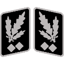 SSObergruppenfhrer_collar_rank Discord Emoji - Macuspana Empire