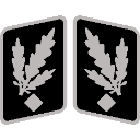 SSGruppenfhrer_Collar_Rank Discord Emoji - Macuspana Empire