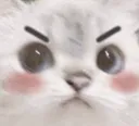 Kitty_Angry