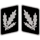 SSBrigadefhrer_Collar_Rank custom emote | Macuspana Empire