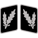 SSOberfhrer_Collar_Rank Discord sticker from Macuspana Empire