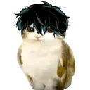 birbvan