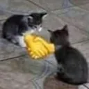 Vs