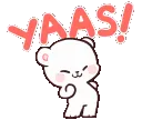 Bear_Yaas