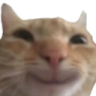 :happycat: