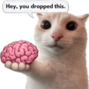 :501481nobrain:
