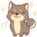 P__PupBeaming