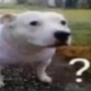 :whatmemberly: