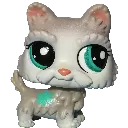 kit
