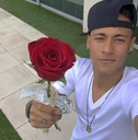 :Flores_fs: