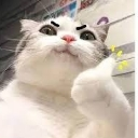 :emoji_16: