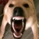 :emoji_49: