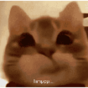 :hmpppcat: