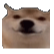 :okaybro: