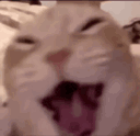 hehehehe animated GIF emoji from ভূতের আড্ডা