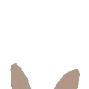 :BunnyGirlPeek: