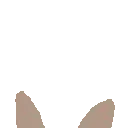 BunnyGirlPeek