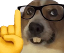 :2066nerddoggo: