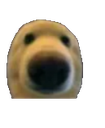 :Dwag: