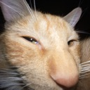 :SusGinger: