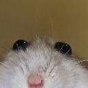 :emoji_57: