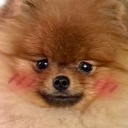 :0_TeddyBlush: