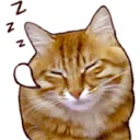 eepy