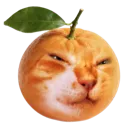 ICK