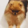 0_TeddyKiss