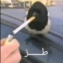 :emoji_59: