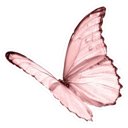 d_pinkbutterfly Discord emoji