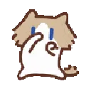 brown_g_scubacat