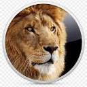 :lion: