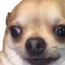 :emoji_7: