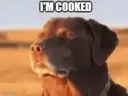 cooked