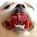 goodboi custom emote from axshxsoon