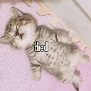 exhausted