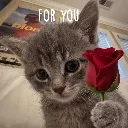 billi_rose