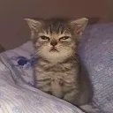 Hewoguysjustwokeup