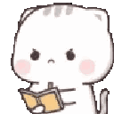 aedgy_catnotes
