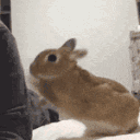 :GiveAttentionPls: