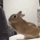 GiveAttentionPls