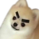 :mad_doggo: