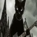 coolkitty