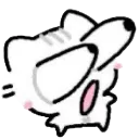 cccat_surprised