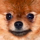 :0_TeddyStare: